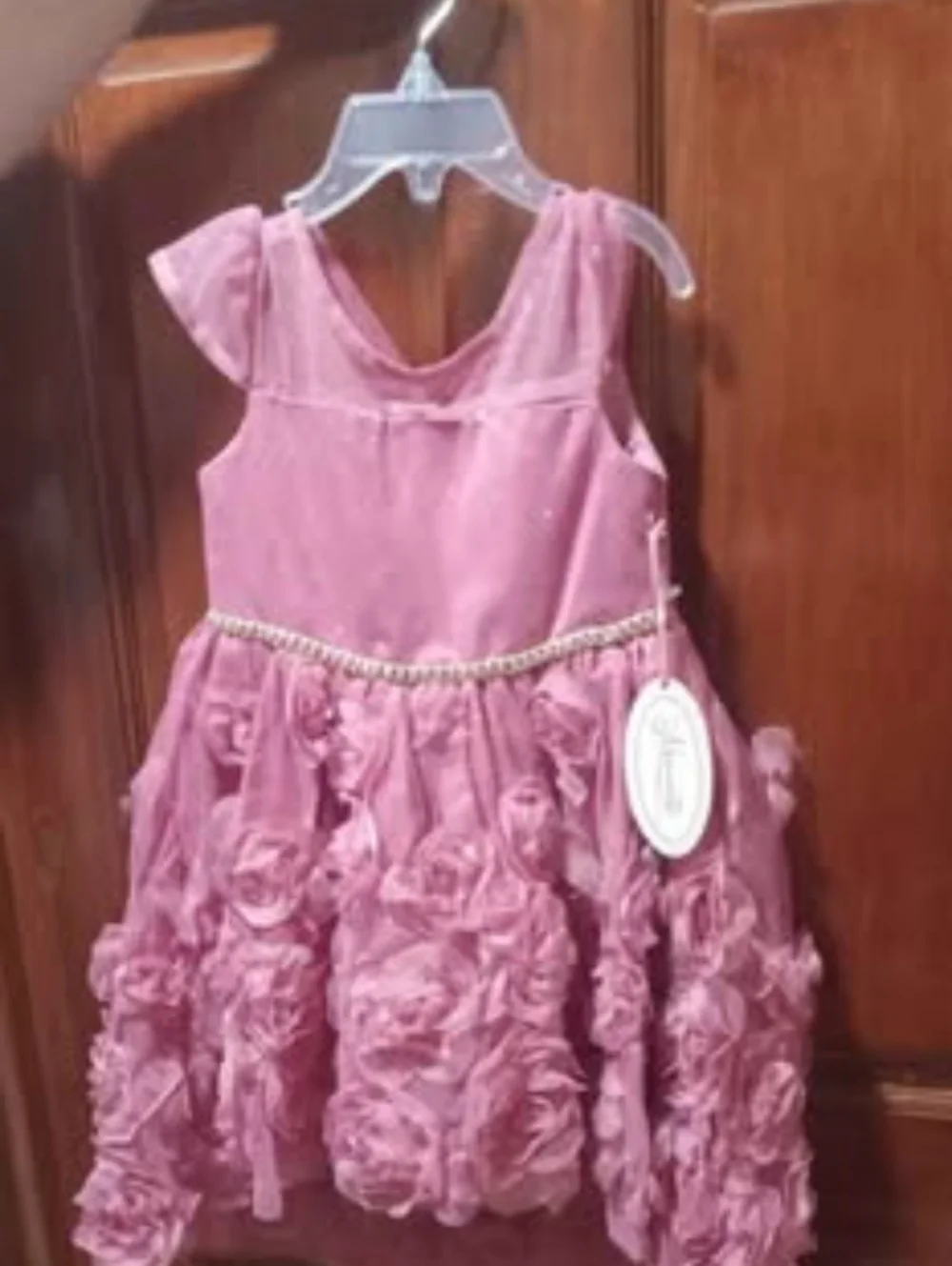 Pink Floral Rosette Kids Dress with Pearl Waist